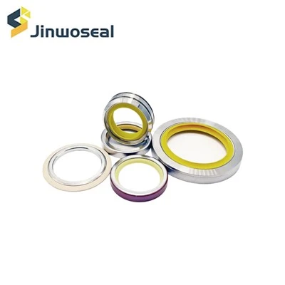 Segel Minyak PTFE Segel Poros Putar Dengan Perumahan Stainless Steel